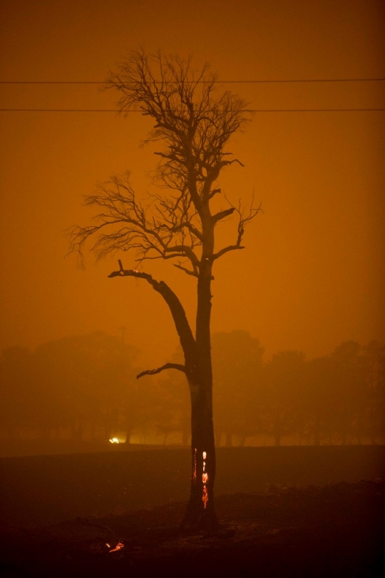 Kondisi Langit Australia Saat Kebakaran Hutan