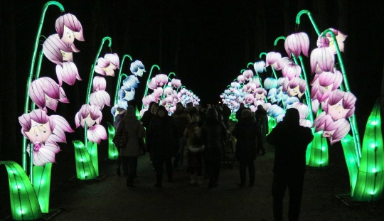 Warna-Warni Lentera di Festival The Great Lanterns of China, Lithuania