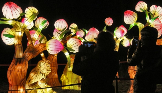 Warna-Warni Lentera di Festival The Great Lanterns of China, Lithuania