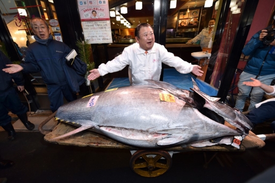 Melihat Lelang Ikan Tuna Tahun Baru di Pasar Tokyo