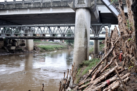 Sampah Tersangkut di Tanggul Kayu Rawajati