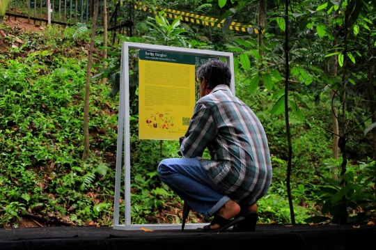 Bunga Bangkai Menjadi Daya Tarik Wisatawan Kebun Raya Bogor