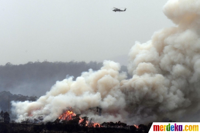 Foto Kondisi Kebakaran Hutan Di Australia Yang Lenyapkan