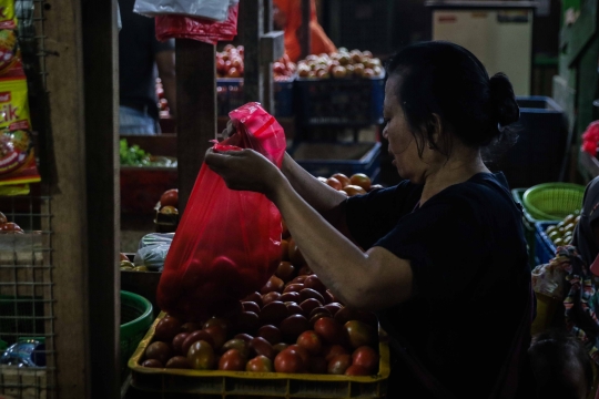 Mulai Juli 2020, Mal dan Pasar Dilarang Menggunakan Kantong Plastik