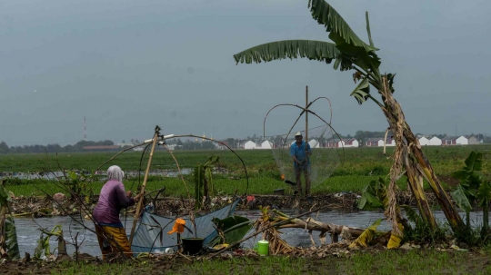 Berkah Luapan Kali Doser Bagi Pencari Ikan di Bekasi