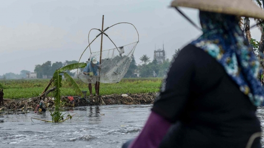 Berkah Luapan Kali Doser Bagi Pencari Ikan di Bekasi