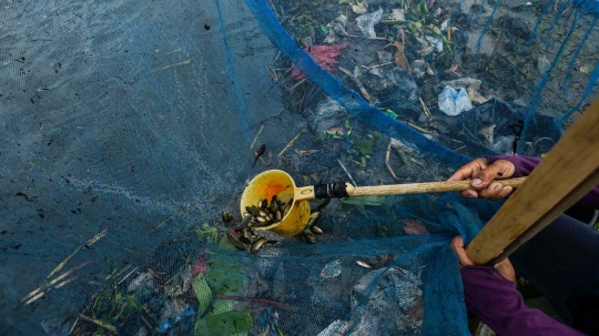 Berkah Luapan Kali Doser Bagi Pencari Ikan di Bekasi