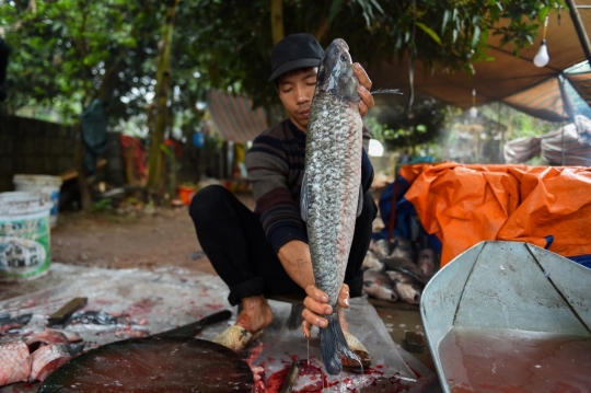 Intip Pembuatan Ikan Rebus, Makanan Populer di Vietnam Saat Imlek