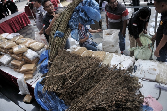 Polisi Ungkap Peredaran Ganja 1,3 Ton