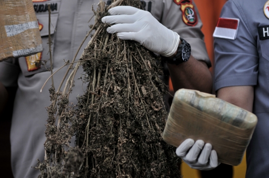 Polisi Ungkap Peredaran Ganja 1,3 Ton