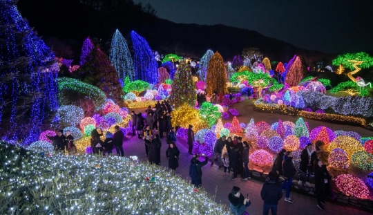 Gemerlap Lampu Malam di Festival Cahaya Garden of Morning Calm, Korea Selatan