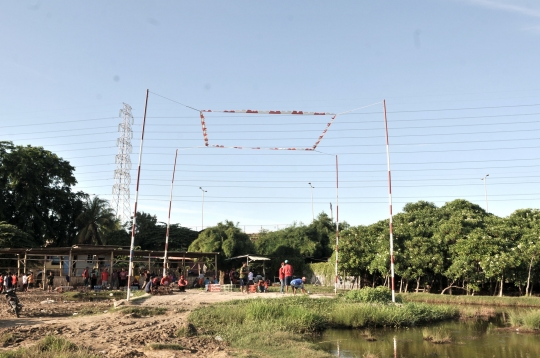 Melatih Burung Merpati Kolongan