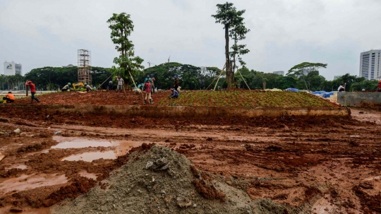 Puluhan Pohon Besar Kembali Ditanam di Taman Monas