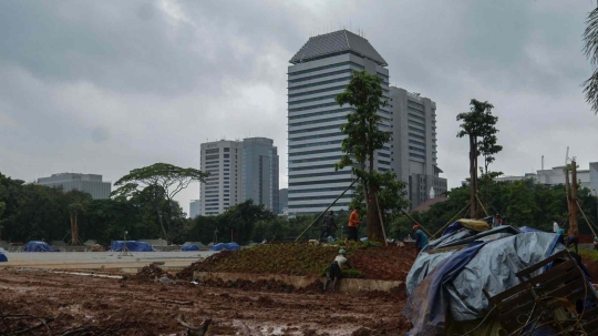 Puluhan Pohon Besar Kembali Ditanam di Taman Monas