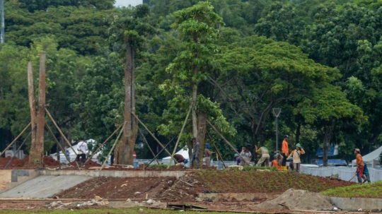 Puluhan Pohon Besar Kembali Ditanam di Taman Monas