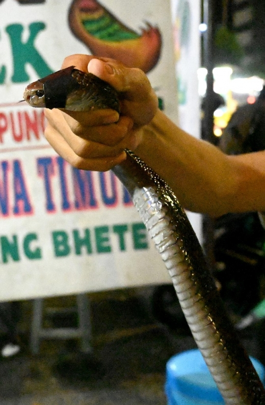 Menengok Kuliner Ekstrem Darah dan Sate Kobra di Jakarta