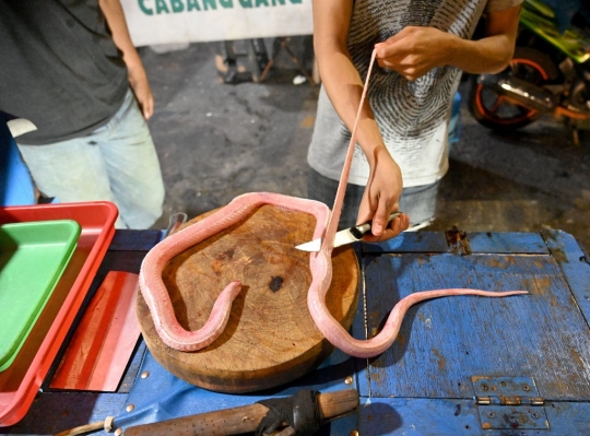 Menengok Kuliner Ekstrem Darah dan Sate Kobra di Jakarta