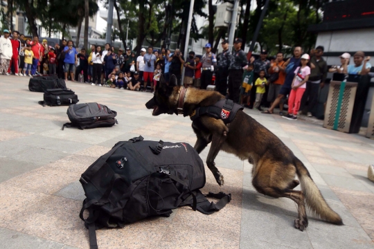 Aksi Anjing Pelacak Deteksi Bahan Peledak di Tas