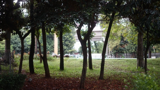 Kondisi Taman Martha Tiahahu yang Terbengkalai