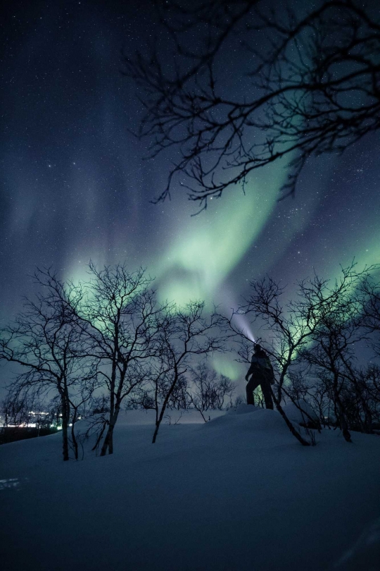 Menikmati Keindahan Fenomena Aurora di Langit Finlandia
