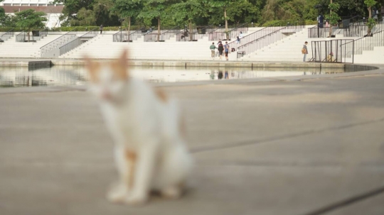 Warga Pilih Beraktivitas di Lapangan Banteng Saat Monas Sedang Direvitalisasi