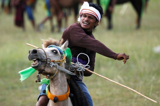Festival Pasola, Perang Tombak Memohon Keberkahan Hasil Panen di Sumba