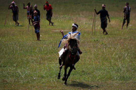 Festival Pasola, Perang Tombak Memohon Keberkahan Hasil Panen di Sumba