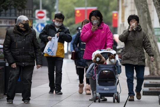 Ketika Anjing di China Pakai Masker untuk Hindari Virus Corona