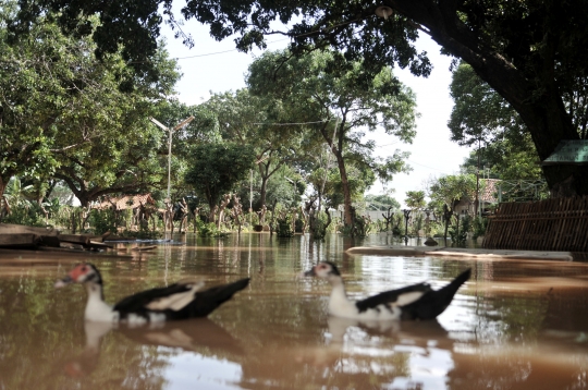 Banjir Rendam Ribuan Makam di Pulo Nangka