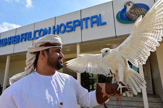 Mengunjungi Rumah Sakit Elang Terbesar Dunia di Abu Dhabi