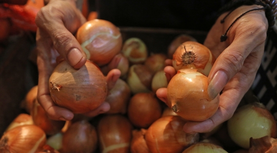 Harga Bawang Bombai Melonjak 10 Kali Lipat