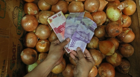 Harga Bawang Bombai Melonjak 10 Kali Lipat