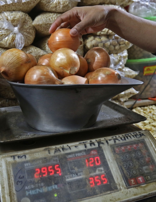 Harga Bawang Bombai Melonjak 10 Kali Lipat