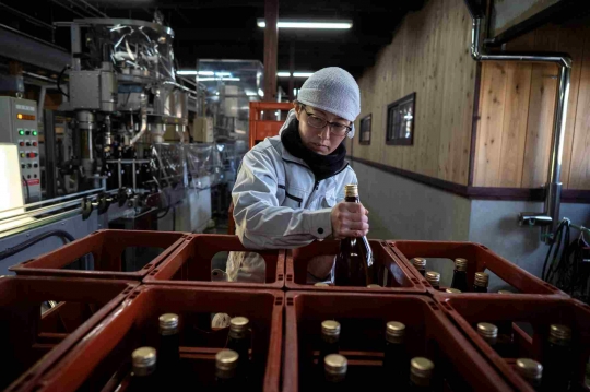 Intip Cara Proses Membuat Sake di Jepang