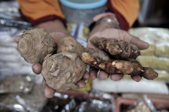 Berkah Pedagang Jamu Rempah di Tengah Pandemi Covid-19