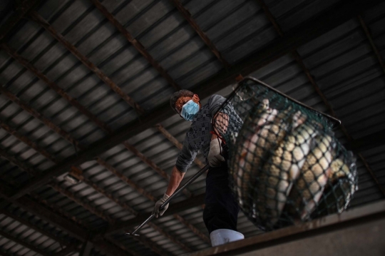 Pilu Pasar Basah Wuhan dalam Lekatan Stigma Corona