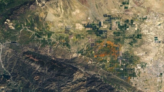 Potret Superbloom Bunga Poppy California dari Pencitraan Satelit NASA