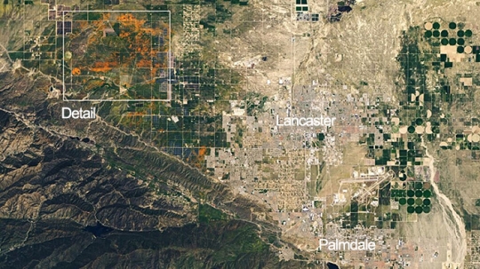 Potret Superbloom Bunga Poppy California dari Pencitraan Satelit NASA