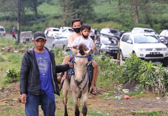 PSBB, Banyak Warga Ngabuburit di Kebun Teh Puncak