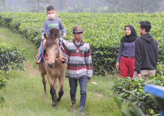 PSBB, Banyak Warga Ngabuburit di Kebun Teh Puncak