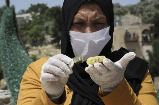 Intip Wanita Palestina Membuat Biskuit Lebaran