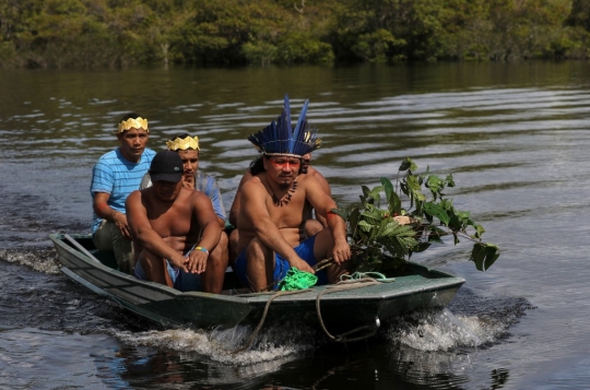 Suku Pedalaman Brasil Perangi Covid-19 dengan Tanaman Asli Amazon