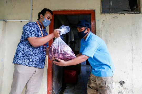 Menengok Kondisi Satwa-Satwa di Kebun Binatang Bandung