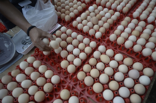 Jelang Lebaran, Harga Telur Ayam di Tangsel Normal