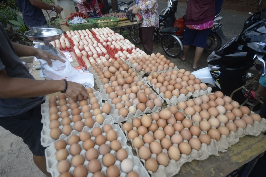 Jelang Lebaran, Harga Telur Ayam di Tangsel Normal