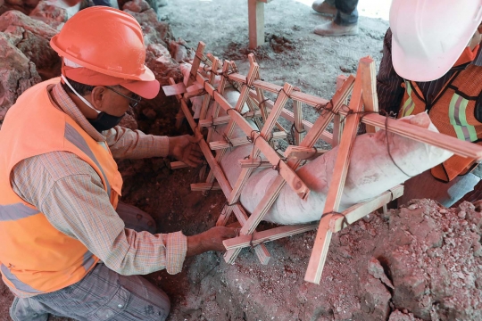 Meksiko Temukan Fosil Mammoth Berusia 10.000 tahun