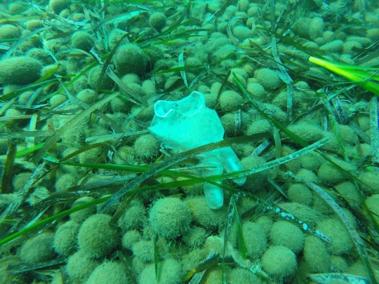 Penampakan Masker dan Sarung Tangan Cemari Laut Mediterania