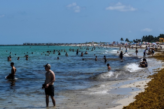 Pantai Miami Kembali Diserbu Pengunjung Setelah Tutup Tiga Bulan