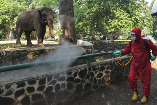 Taman Margasatwa Ragunan Disemprot Disinfektan Jelang Dibuka Kembali