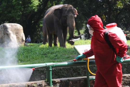 Taman Margasatwa Ragunan Disemprot Disinfektan Jelang Dibuka Kembali